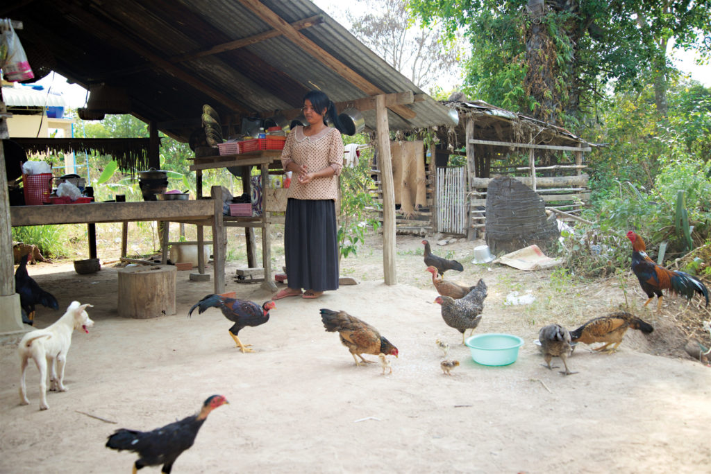 Phanny feeds scraps of watermelon to her chickens. Her pig pen is in the back right of the frame.